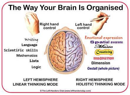 Neuro right left brain.jpg
