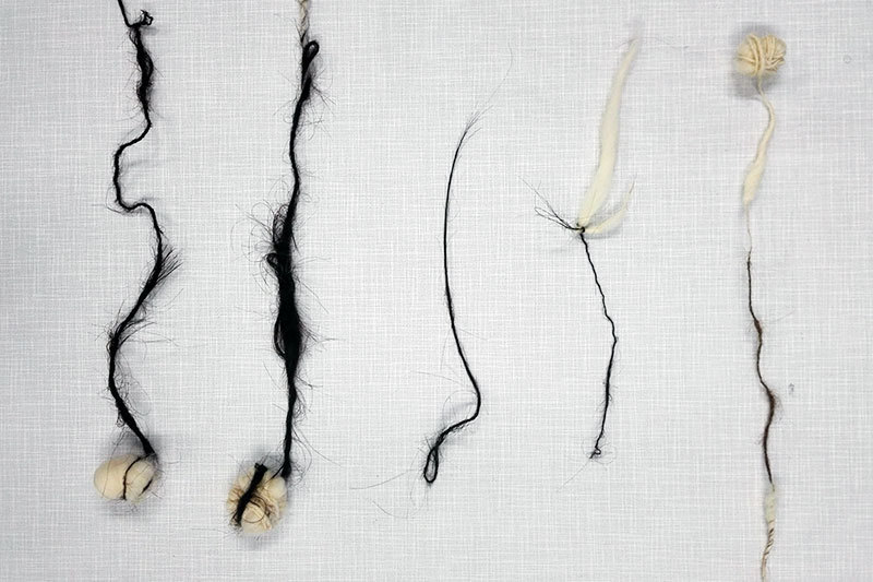 Hair threads.jpg