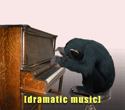 Chimpanzee-Plays-Some-Dramatic-Piano-Music.gif