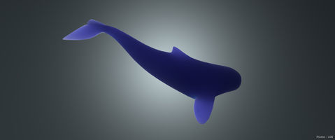 Whale Animation setting1.jpg