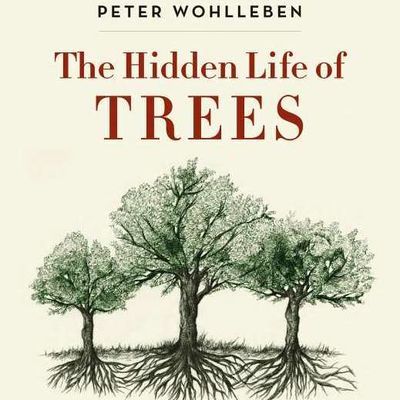 The-Hidden-Life-of-Trees-cover-.jpg