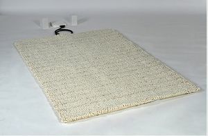 0864867 week2 IP Carpet1.jpg