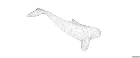 Whale Animation setting2.jpg