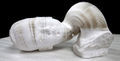 Flexible-paper-sculptures-li-hongbo-3.jpg