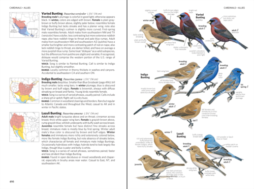 Bird Guide spread p498.png
