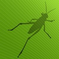 Grasshopper logo.jpg