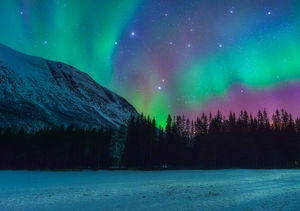 Northern-Lights-Norway.jpg