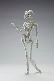Hybrid-skeleton-Masao Kinoshita.jpg
