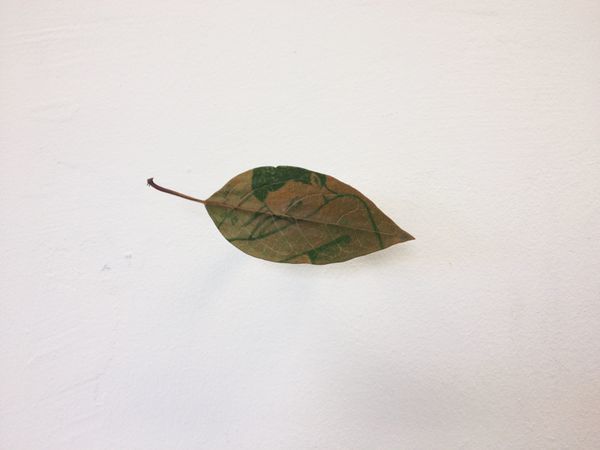 Leaf1.jpg