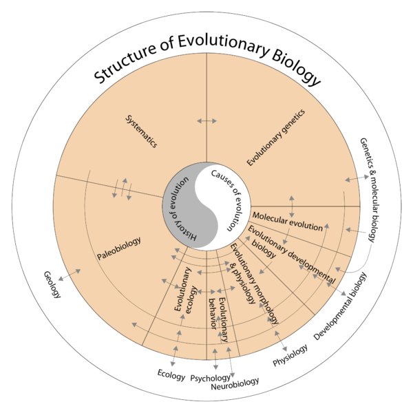 Structure of Evolutionary Biology.png