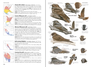 Bird Guide spread p294.png