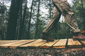 Wood-nature-person-walking.jpg