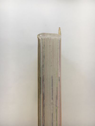 Sideview of the spine.jpg