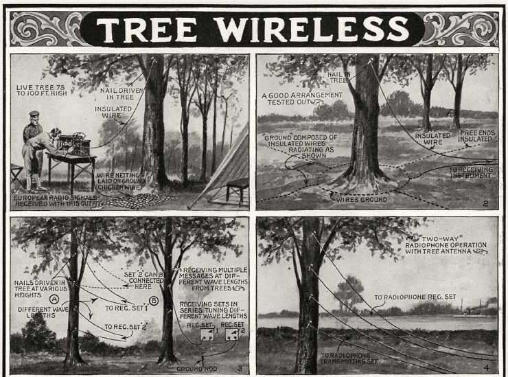 Treewireless.jpg