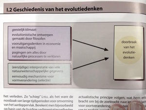 Evolutiedenken.jpg