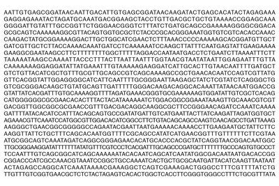 Dna-lipase.jpg