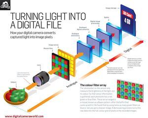 Light into digital.jpg