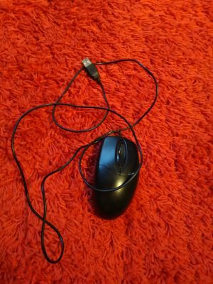 Mouse up243574.jpg