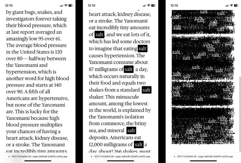 File:OmidNemalhabib Salt.png
