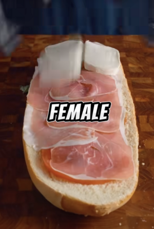 Tiktok sussy.reddits.stories .png