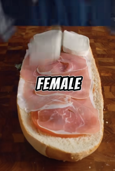 File:Tiktok sussy.reddits.stories .png