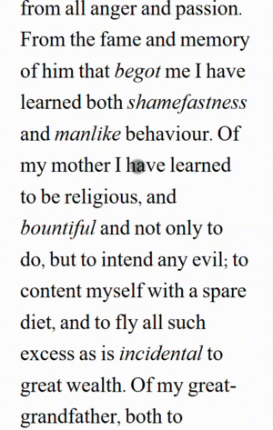 Codepen marcus hover.gif